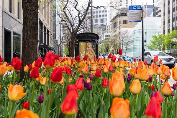 Places to Eat in Chicago's River North